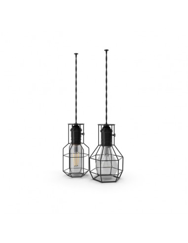 Double Industrial Lamp